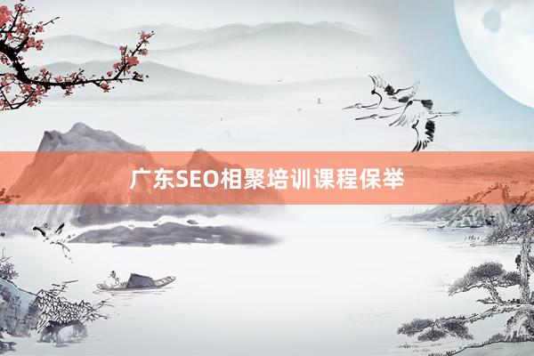 广东SEO相聚培训课程保举