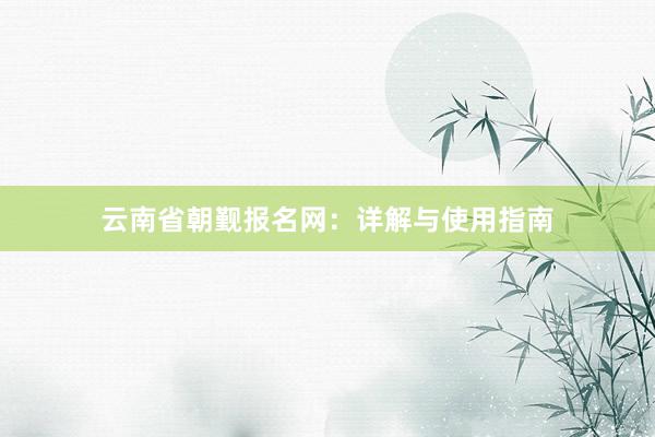 云南省朝觐报名网：详解与使用指南
