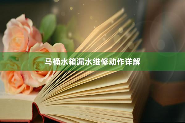 马桶水箱漏水维修动作详解